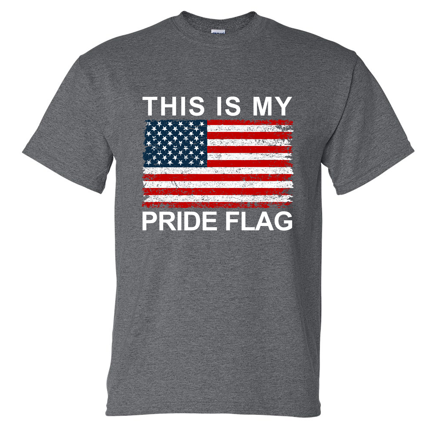 This is My Pride Flag T-Shirt DryBlend Moisture Wicking TShirt Funny Shirt Adult Tee Genx Crewneck